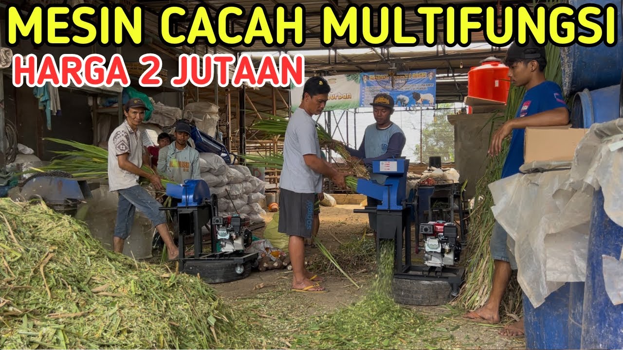 MESIN CACAH RUMPUT MULTIFUNGSI HARGA 2 JUTA | PENEPUNG SERBAGUNA