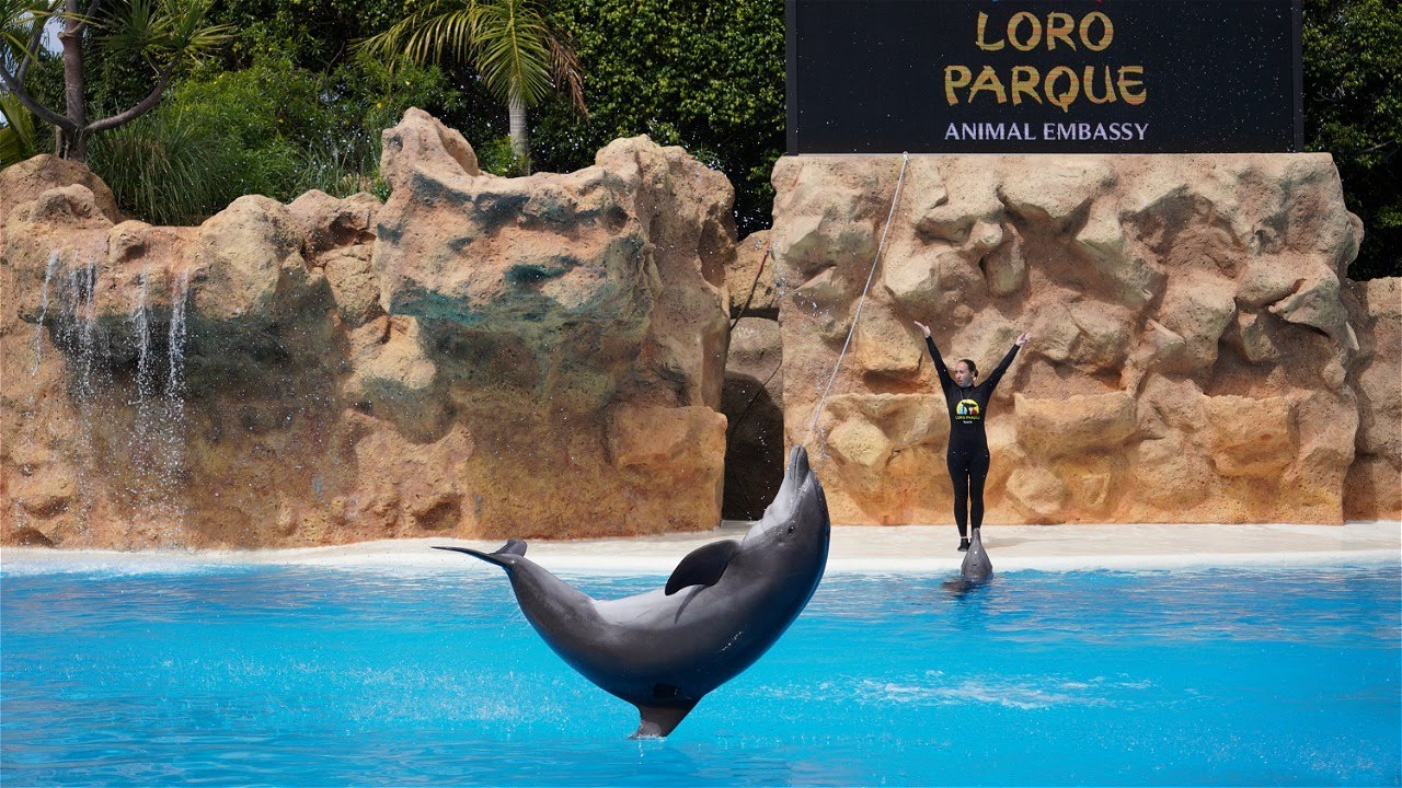 Loro Parque Walking Tour  (2022)