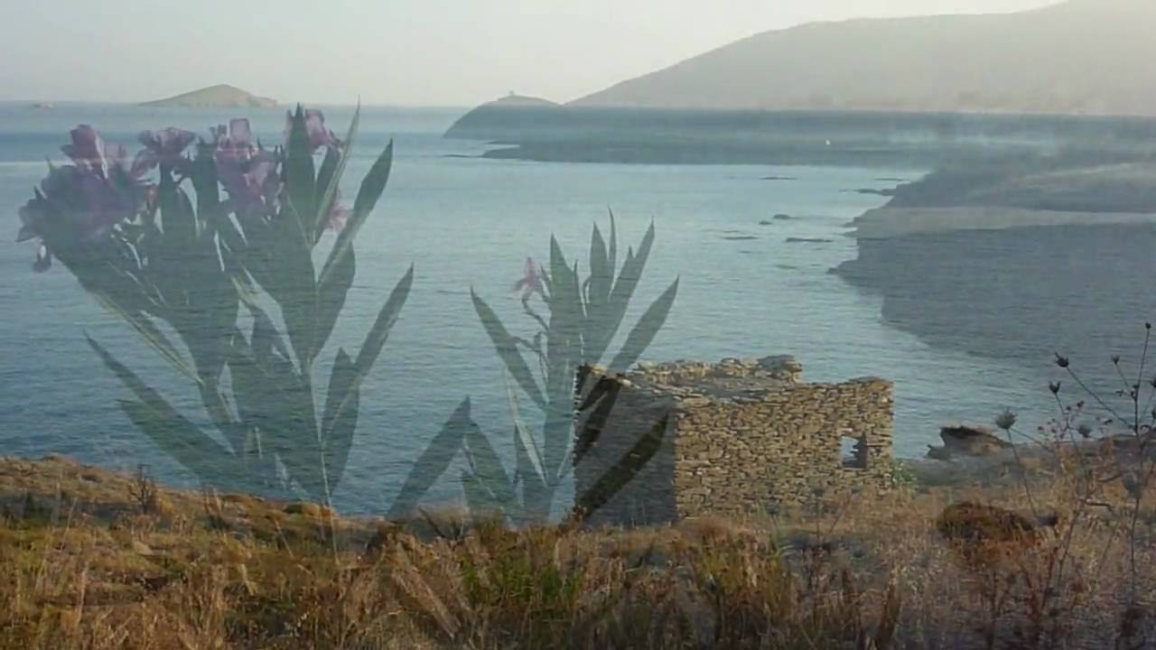 Human Touch - Anemos