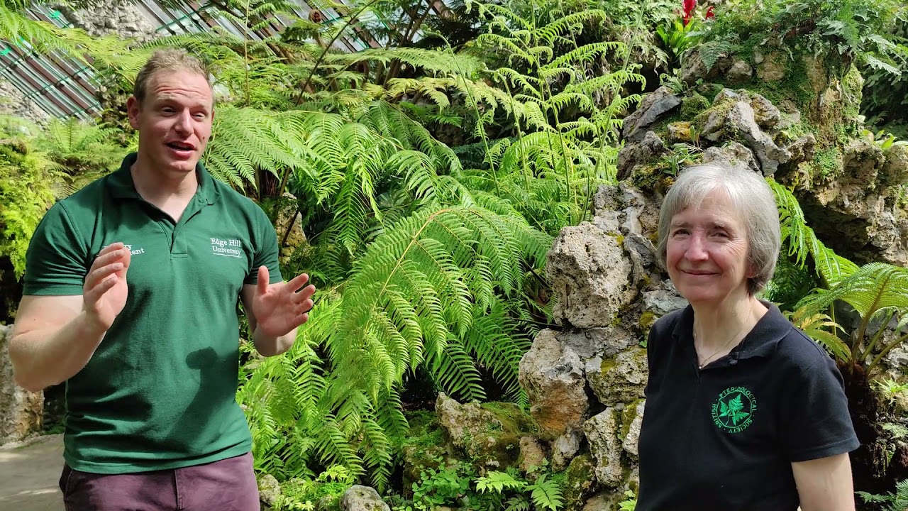 Southport Fernery