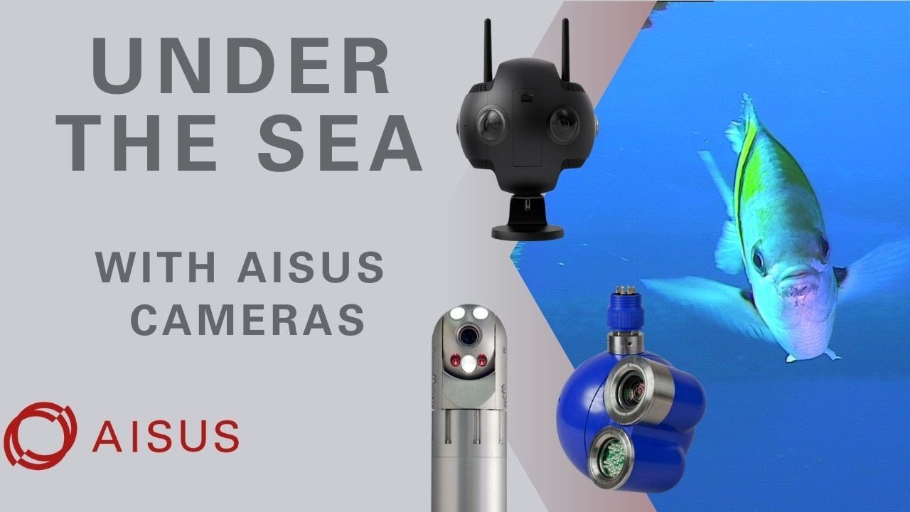 AISUS Under the Sea