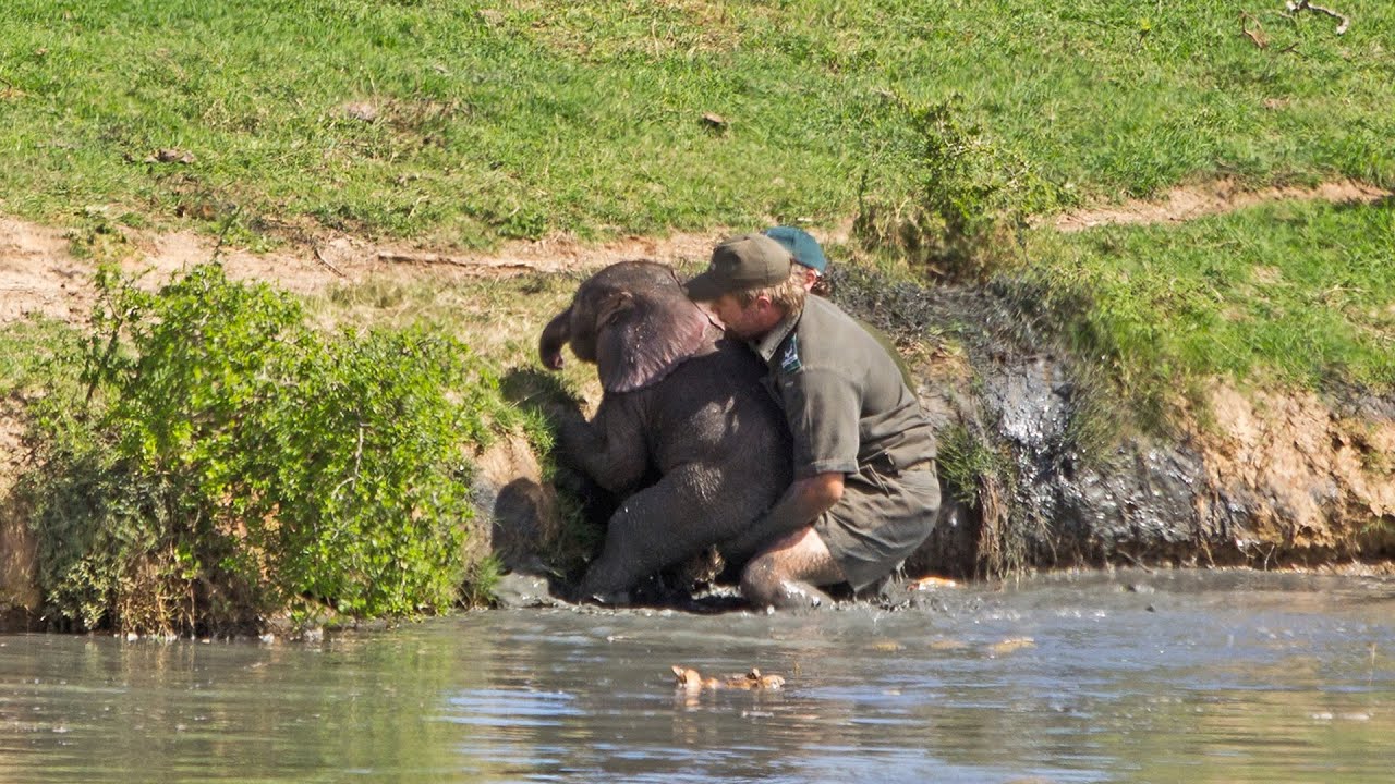 Incredible Baby Elephant Rescue [Pics]