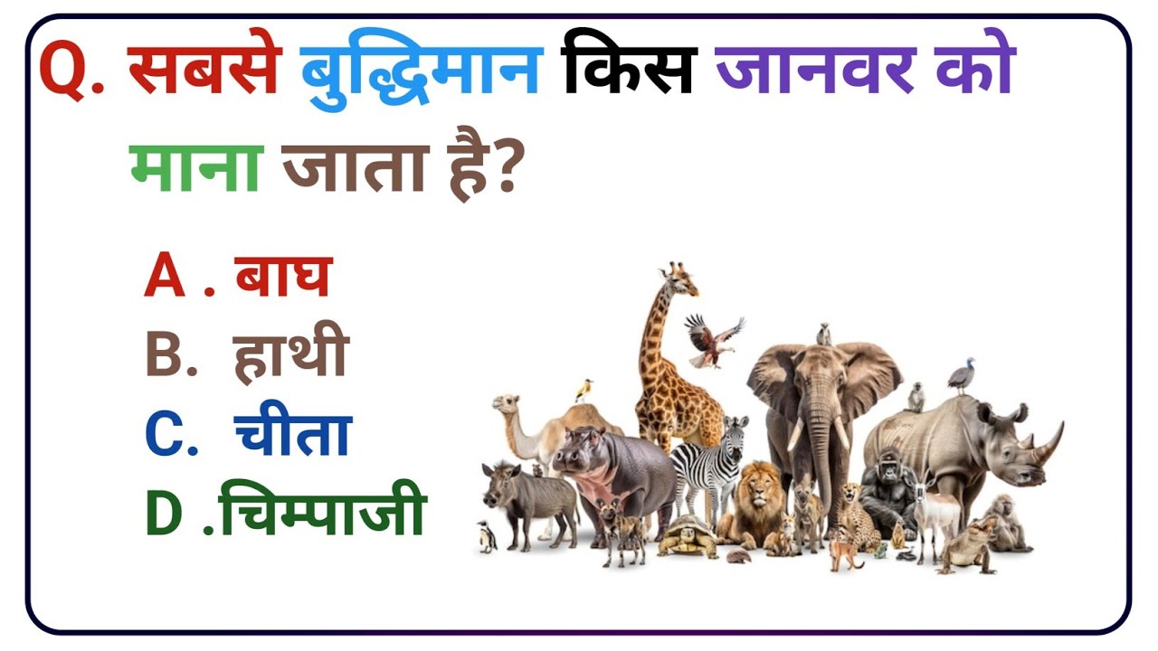 Gk question and answer ll hindi gk question and answer ll hindi gk ll gk ke saval bahuvikalpi