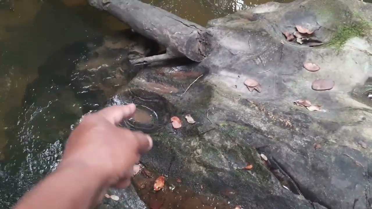 A NOVA HATANABÁ 😱