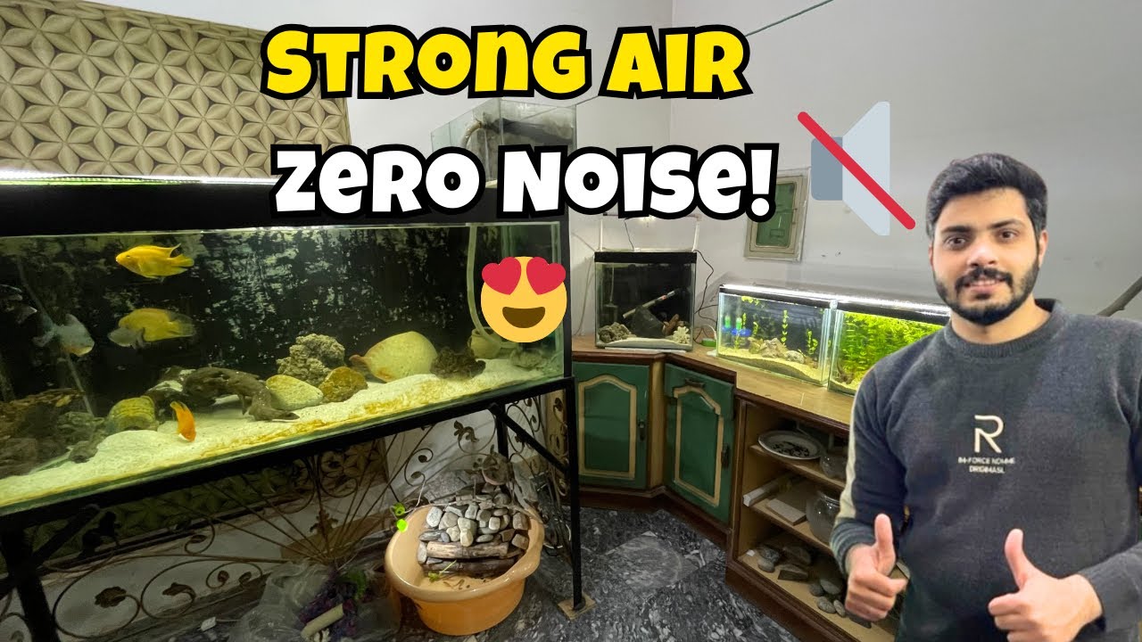 I Made My Fish Room SILENT 😱 | Soundproof Air Pump Setup 🔇💨
