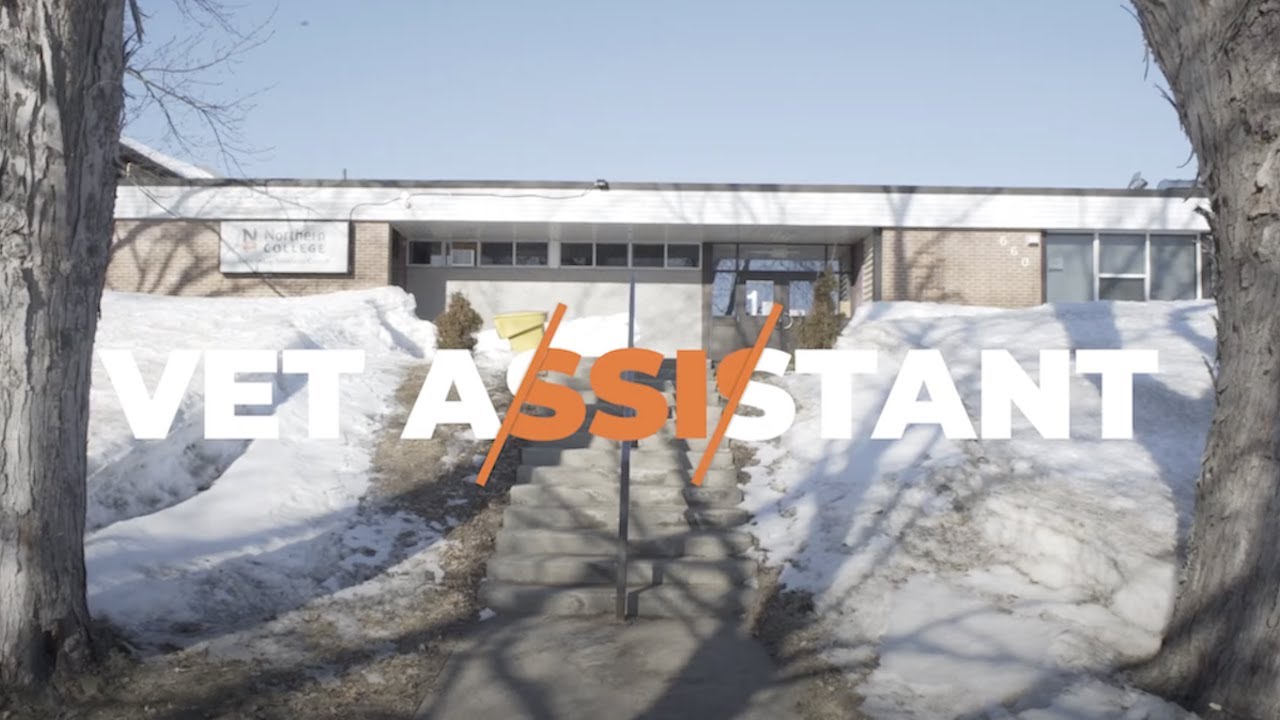 Vet Tech Veterinary Assistant - Veterinary Sciences | Northern College