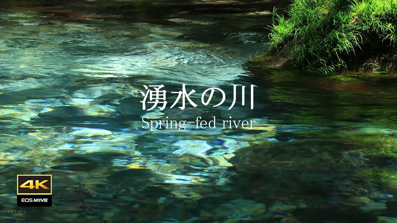 4K  自然環境音動画  / 夏の暑い日ここで過ごすのが最適 / 美しい日本の渓流　湧水が流れる円原川
