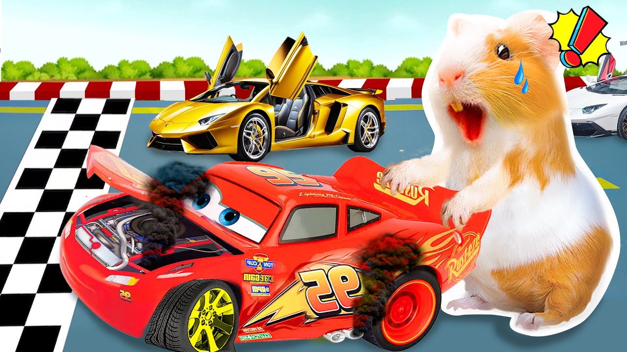 Hammy’s Crazy Car Race Adventure – Smoke, Speed & Surprise! 🏁🚗🔥| Hammy Haven
