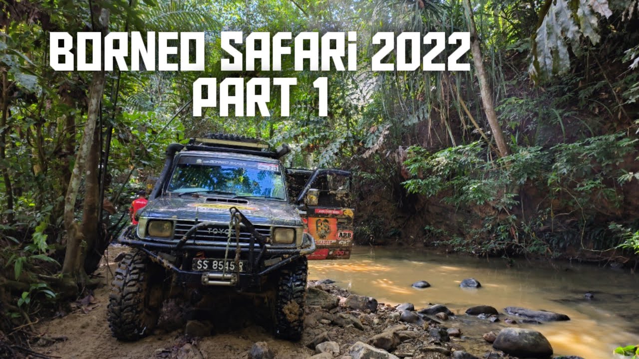 Borneo safari 2022 | Part 1