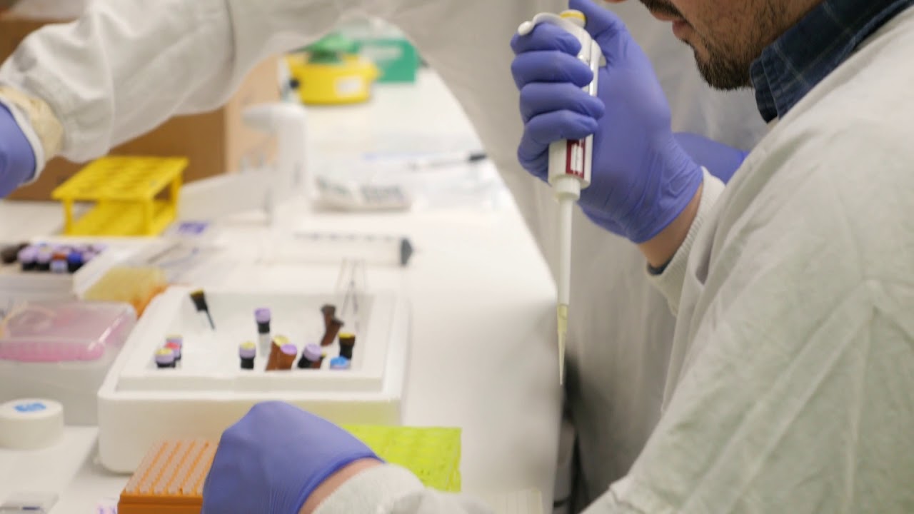 Detective work in cancer research