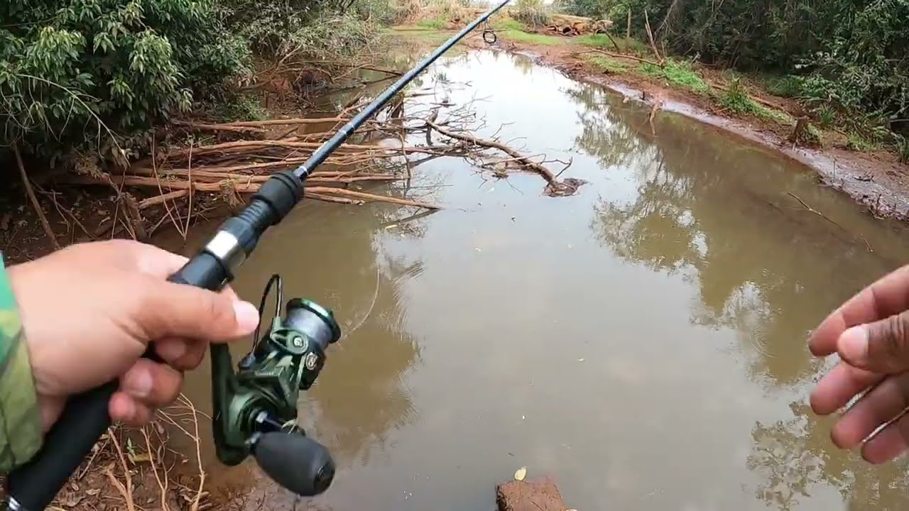ACHEI A NINHADA DAS BRUTA pescaria!!!!
