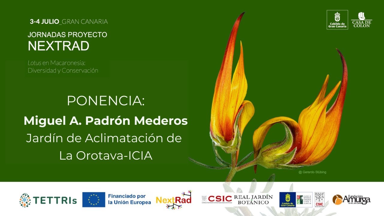 Ponencia: Miguel A. Padrón Mederos. Jornadas NEXTRAD 4 de julio de 2025, Gran Canaria