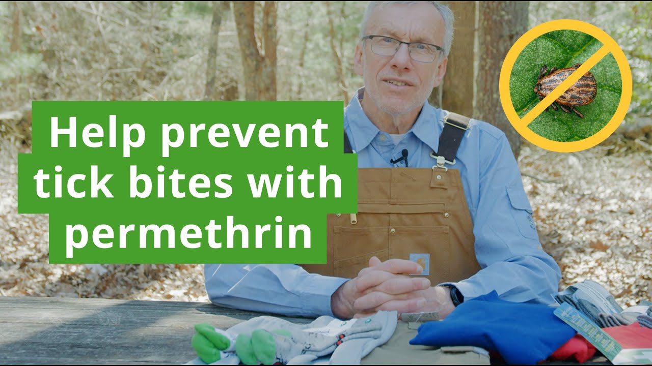 How Permethrin Clothing and Spray Can Help Prevent Tick Bites