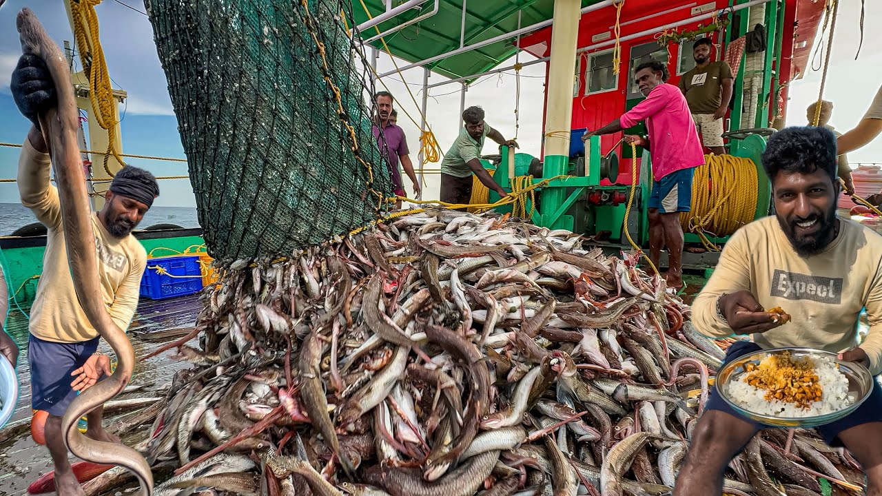 Amazing! Day 2 of Deep-Sea Fishing: We Caught Tons of Kilanga Fish and the Longest Moray Eels!