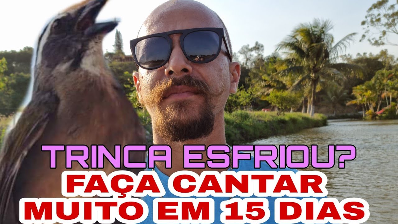 POR QUE TEM TRINCA FERRO FRIO E ENTRANDO NA MUDA AGORA? COMO FAZER ELE VOLTAR CANTAR EM 15 DIAS