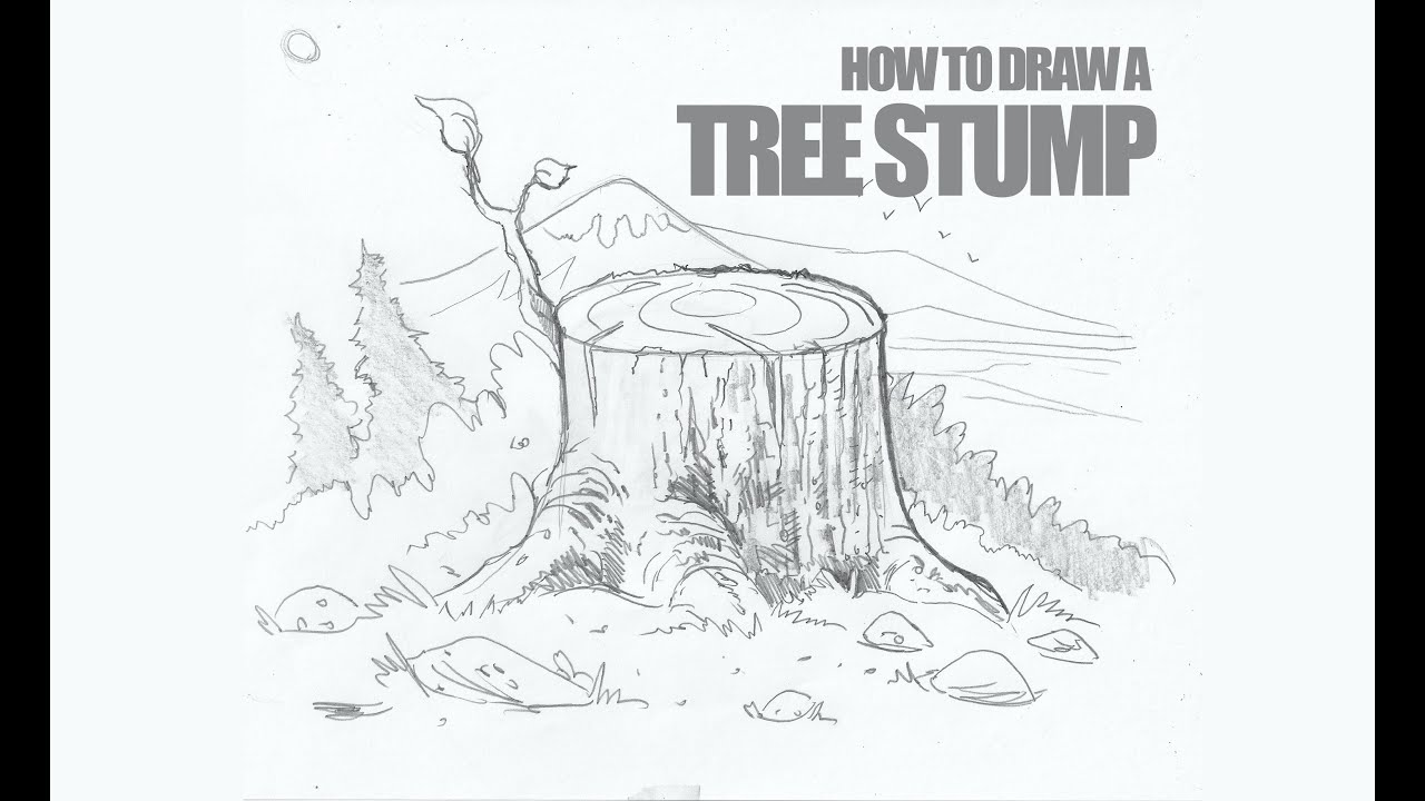 Tree Stump