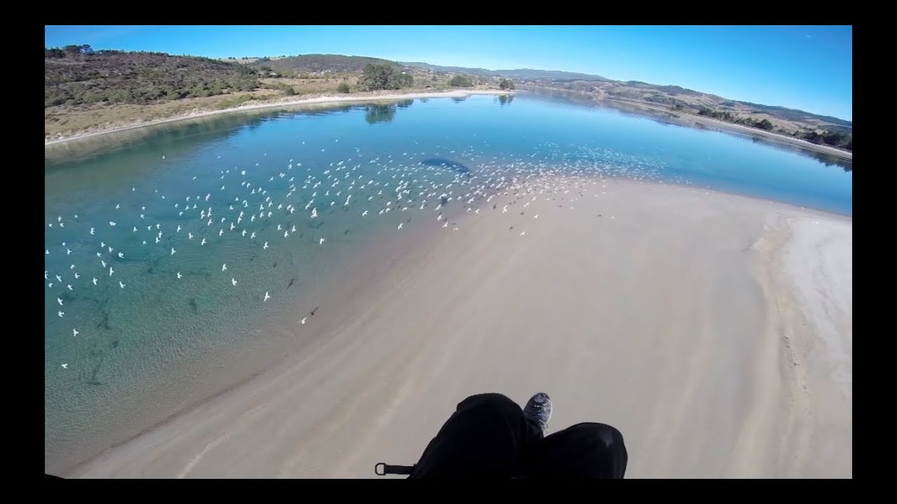 Paramotor Coastal Flying Otago  Dunedin New Zealand