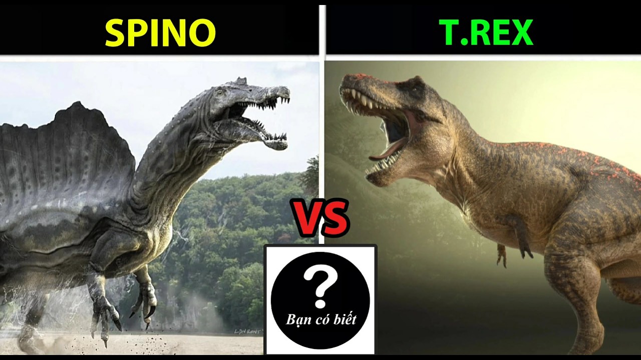Tyrannosaurus rex vs Spinosaurus aegyptiacus (Real life), con nào sẽ thắng 211 - Bạn Có Biết?