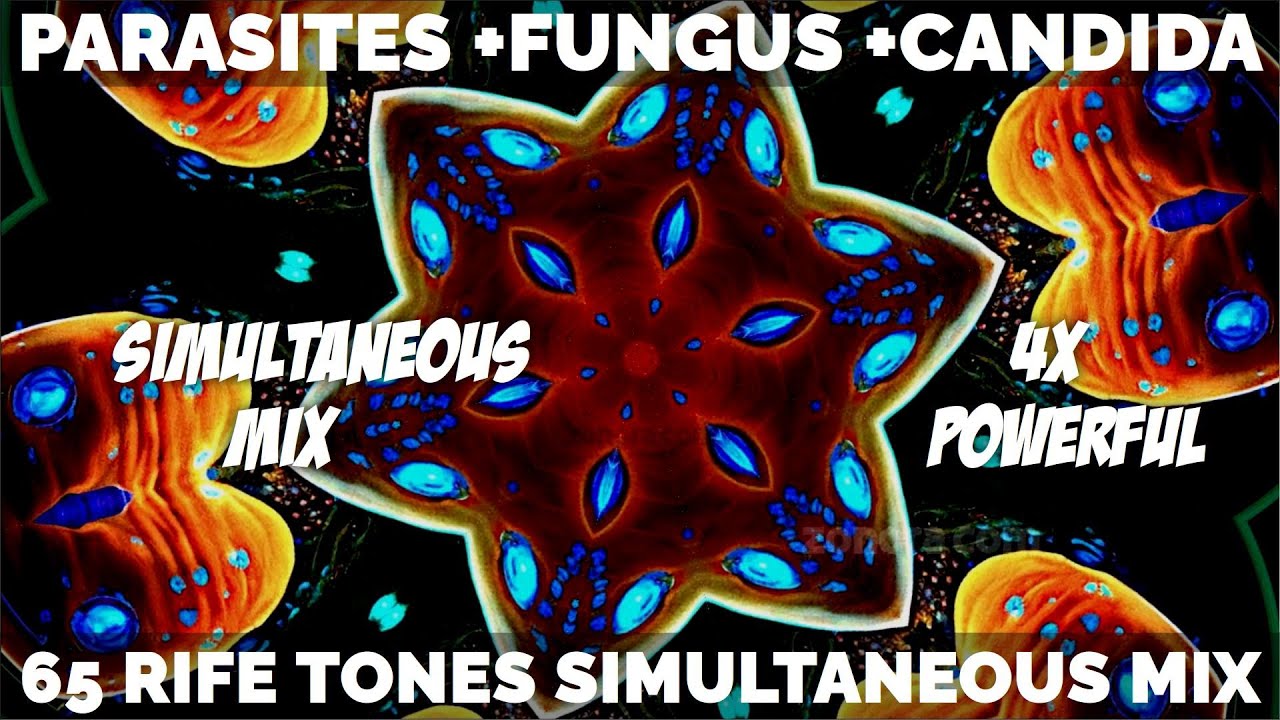Rife Parasite + Fungus + Candida Cleanse : 65 Pure Tones Simultaneous Mix : 4x Powerful