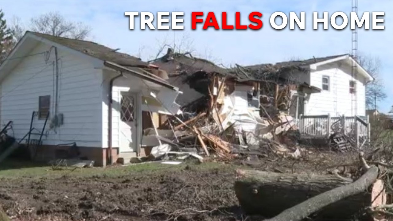 High winds cause tree to fall on home with family inside