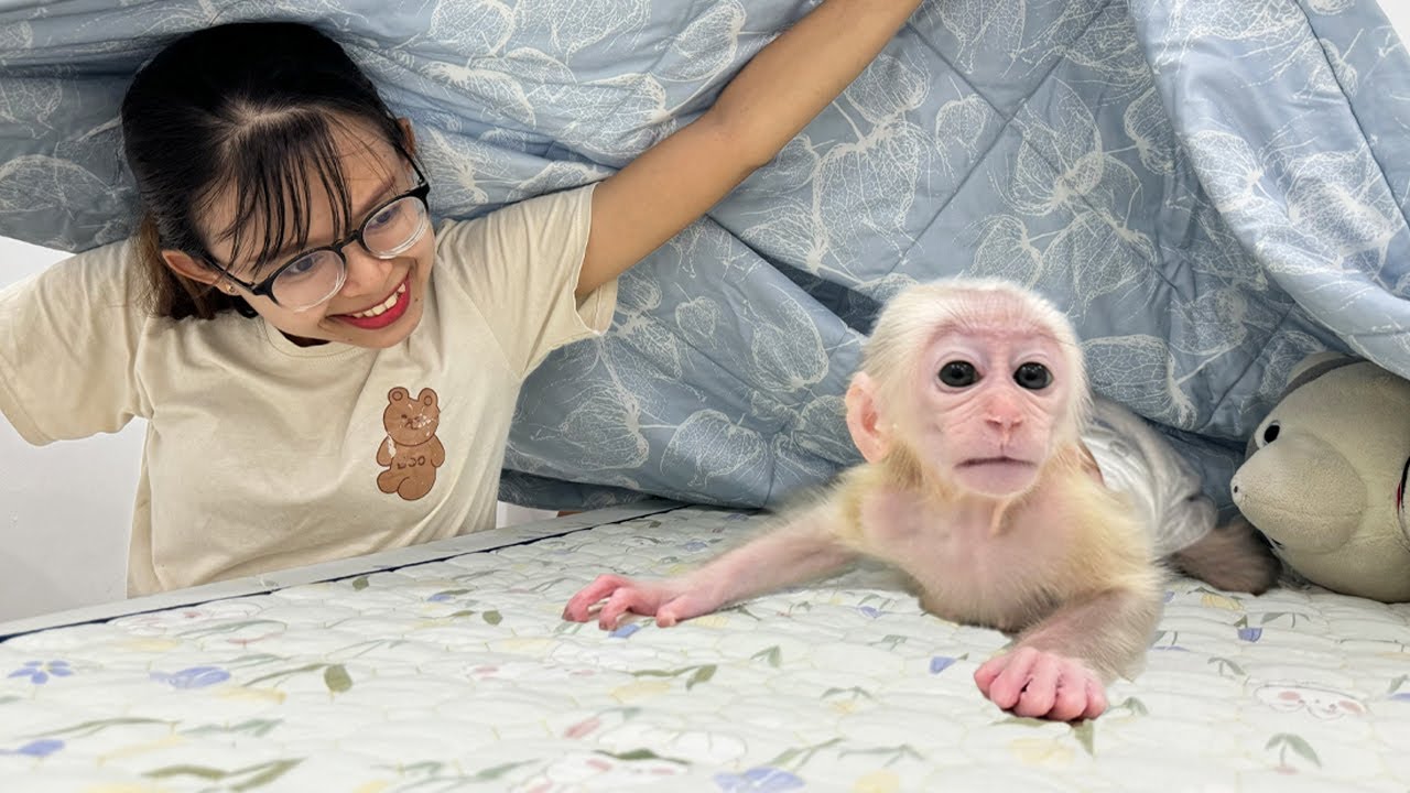 Sweet Every Moment: Lucky is Enamored in Her