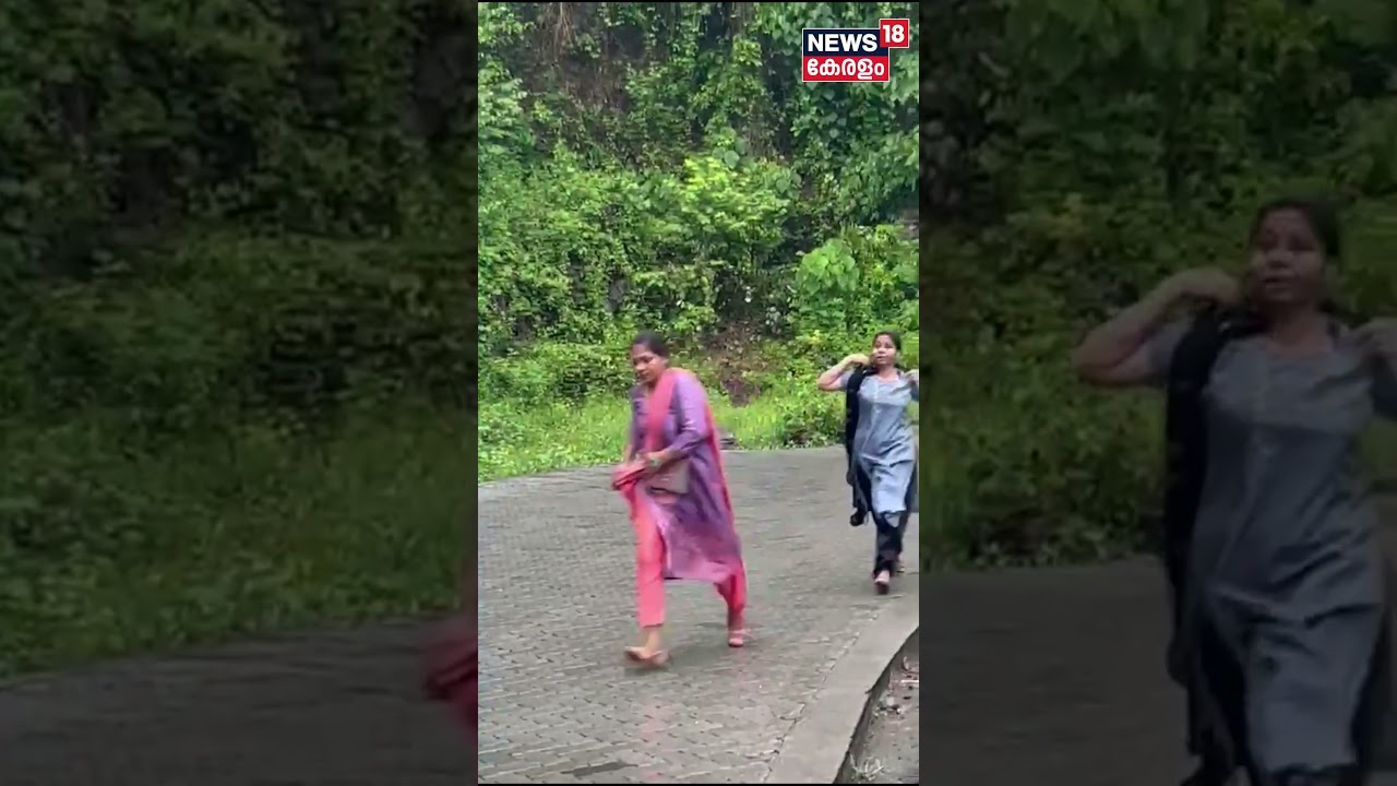 നാടുകാണി ചുരത്തിൽ യാത്രകാർക്കു നേരെ പഞ്ഞടുത്ത് കാട്ടുകൊമ്പൻ | #shorts