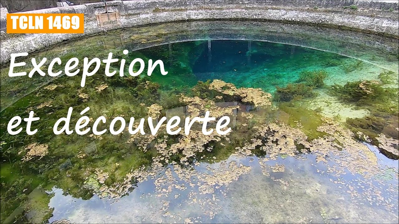 Exception et découverte