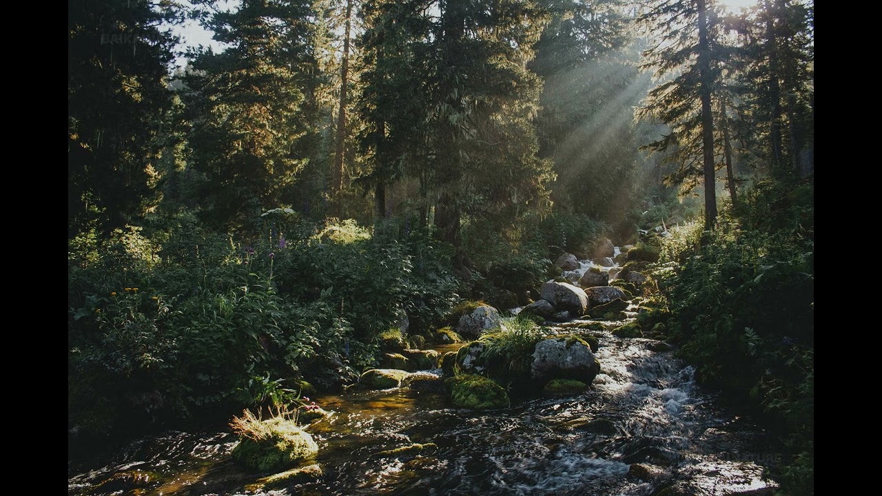 Hype feat. Det & Remadee - One Nation (Clash of the Titans) - 1996 10 26