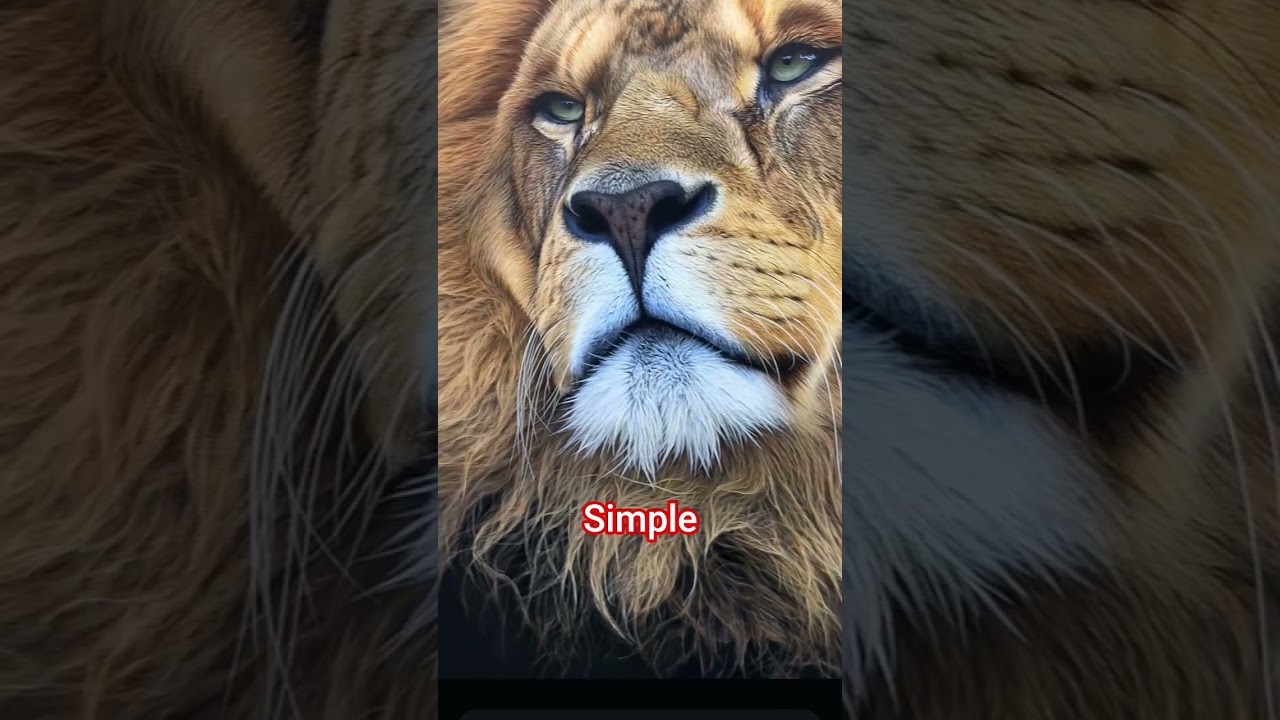 SimpleTalks #memes #haveitoldyoulatelythatiloveyou #roblox #butifyoucloseyoureyes #love #edit