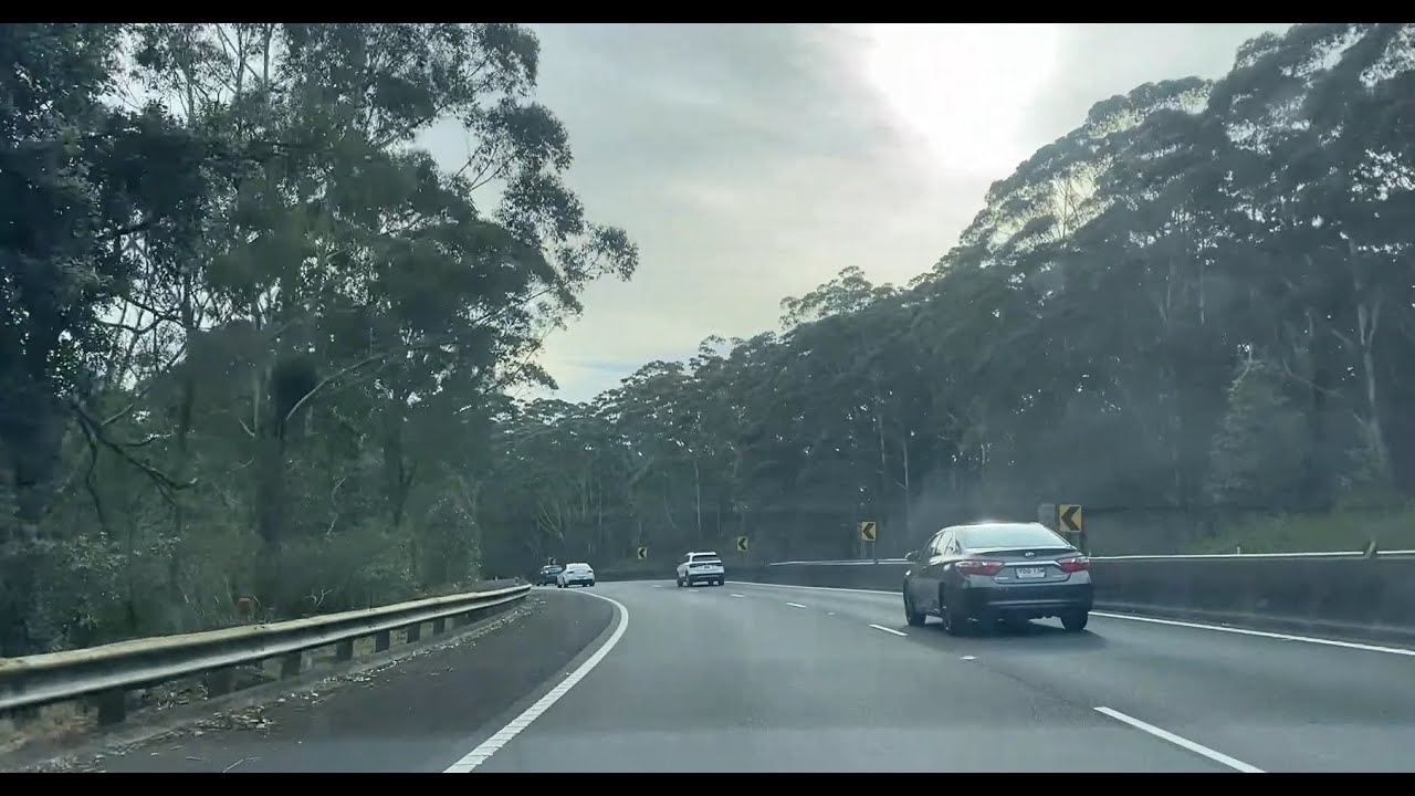 Peaceful Bush Drive Along the Princes Highway