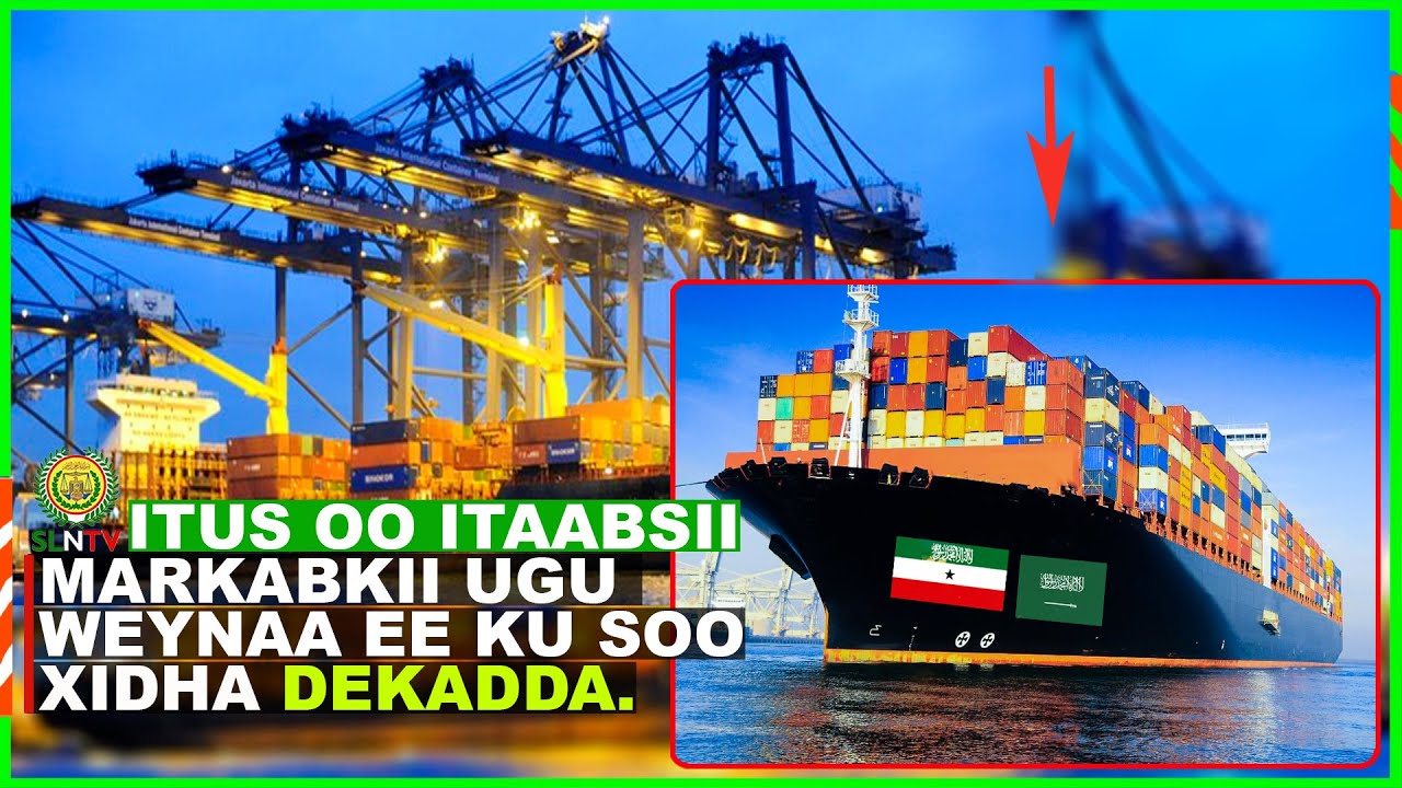 Markabkii ugu weynaa ee abid yimaada Dekadda Magaalada Berbera | Tus oo ITaabsii.