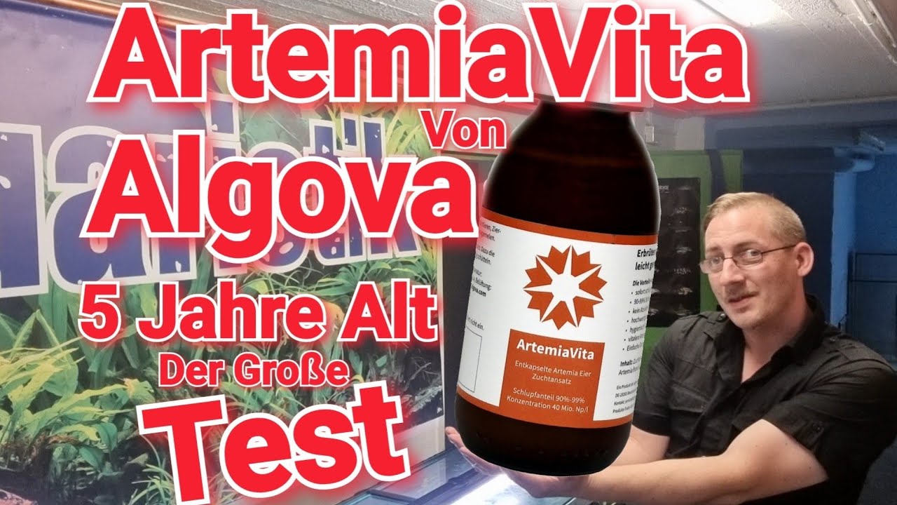 ArtemiaVita Von Algova 5 Jahre Alt !! Der Große Schlupf - Test !! #artemia #aquarium #fish