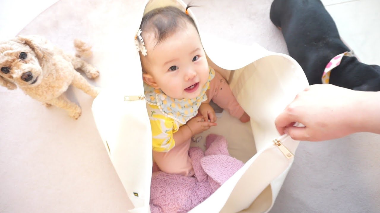 [육아 브이로그] 세상 장꾸가 된 14개월 아기 일상 🍼 / 지옥에서 온 촉감놀이 🌾 / 왓츠 인 마이 백(?) 👛 / 매일 놀이터 출첵한 주간 💛 (ft.두저씨👨🏻)