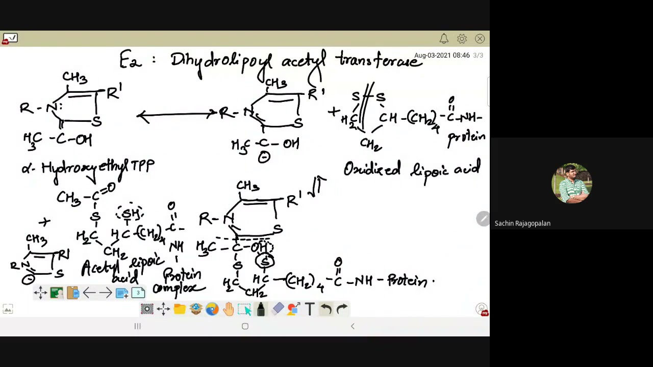 Acetylation continued & TCA till isocitrate dehydrogenase