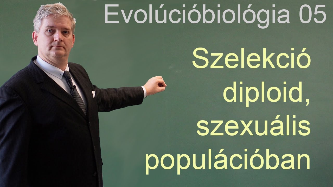 Evolúcióbiológia 05 - Szelekció diploid szexuális populációban