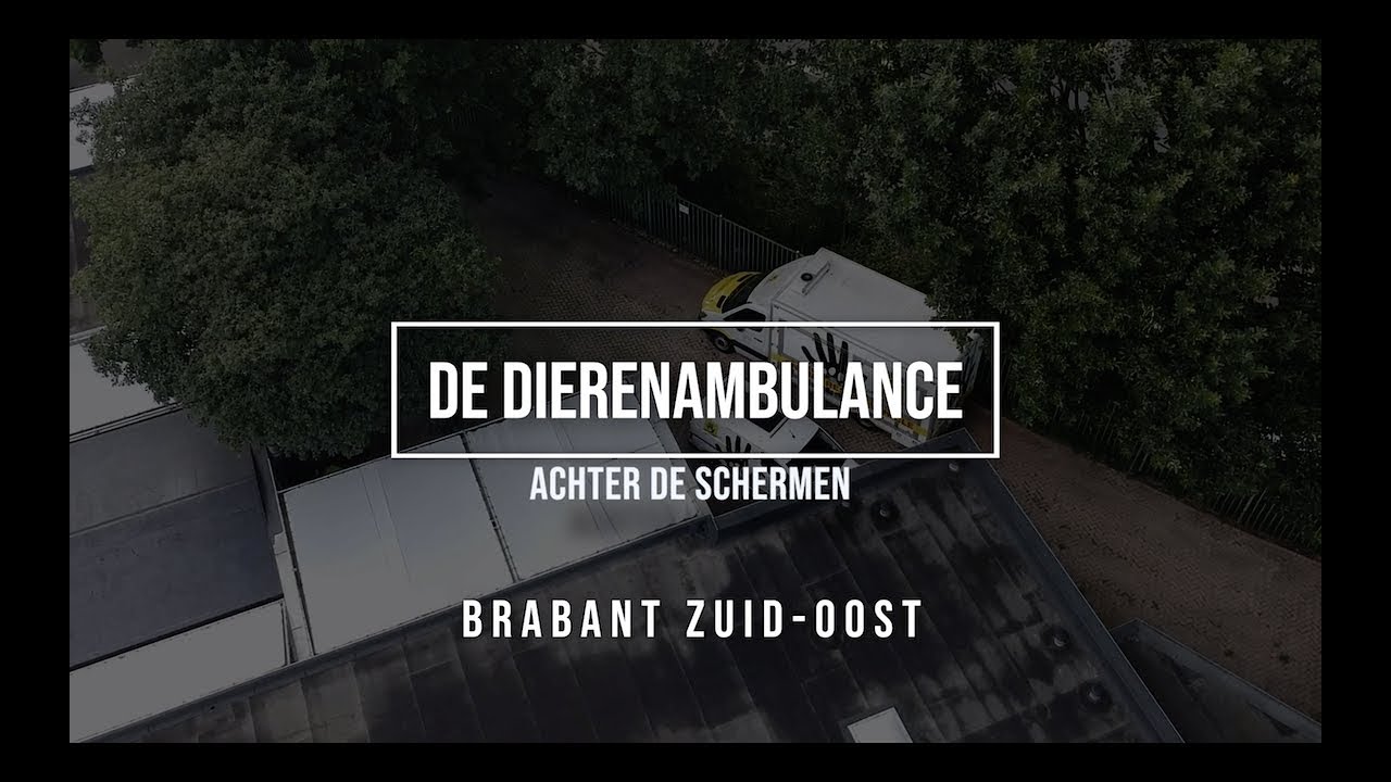 Achter de schermen bij de dierenambulance - Brabant Zuid Oost