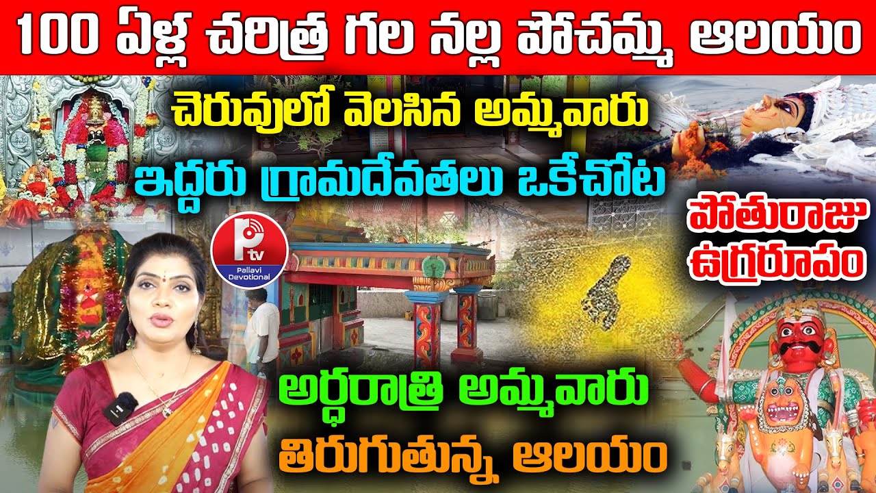 Nangunoor Nalla Pochamma Temple History |నంగునూరు నల్లపోచమ్మతల్లి | Yellamma| Bonalu 2025 | Siddipet