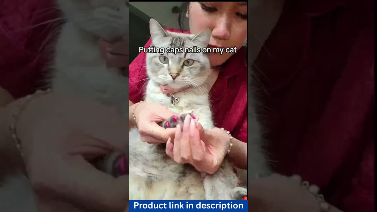 Soft Cat Nail Caps with Adhesive & Applicator &ndash; 20pcs Pet Claw Covers for Kittens #petlovers #cats