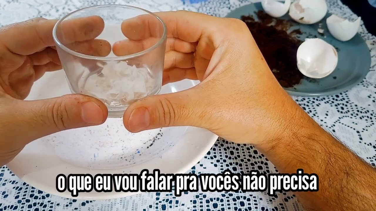 VÓ MARIA CONGA REVELOU: A Simpatia com Casca de Ovo que QUEBRA Maldição de Família