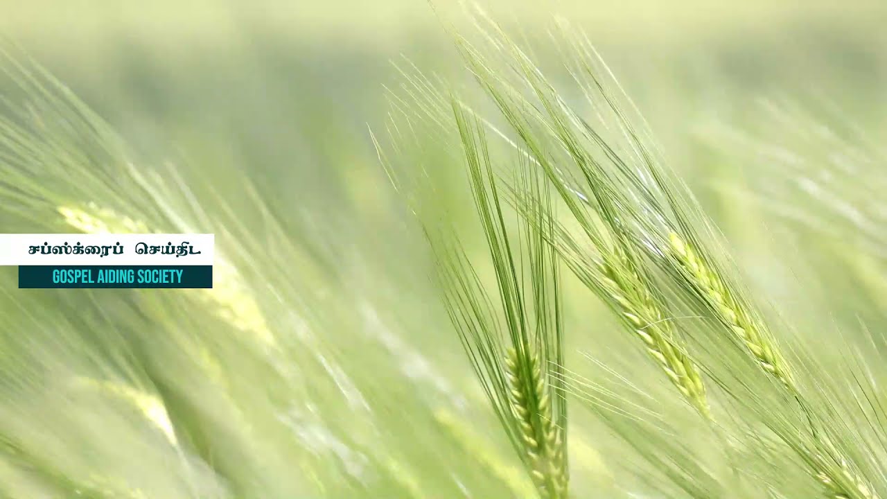 அறுப்பின் பண்டிகை - சகோ.மோகன் - தமிழ் கிறிஸ்தவ செய்தி Harvest Festival - Bro Mohan