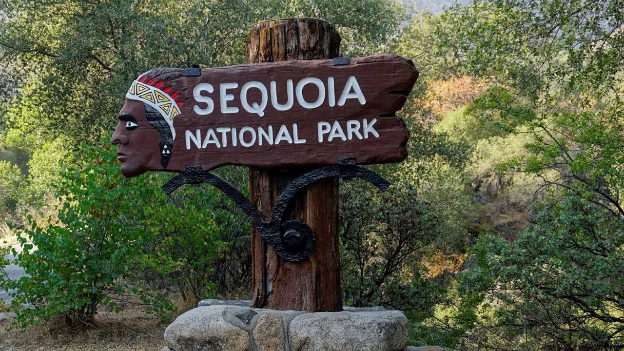 Національний парк СEКВОЯ / Дерева - велетні / Сімейна подорож в SEQUOIA NATIONAL PARK.
