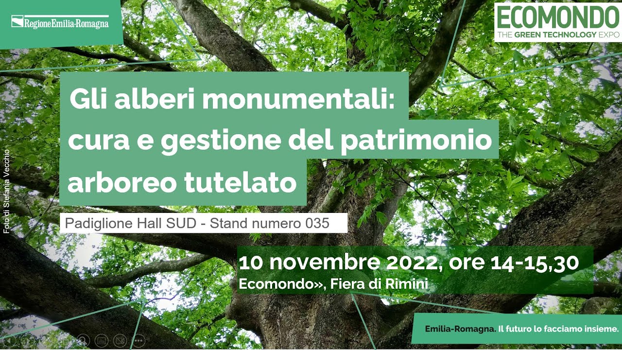 ECOMONDO 2022: Gli alberi monumentali: cura e gestione del patrimonio arboreo tutelato