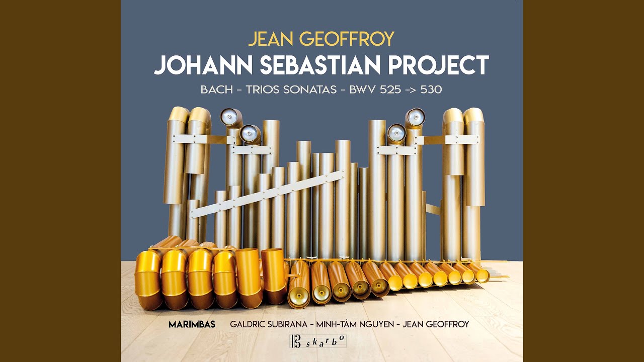 Organ Sonata No. 3 in D Minor, BWV 527 (Arr. for 3 Marimbas) : I. Andante