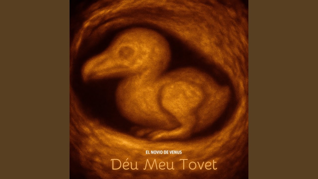 Deu Meu Tovet