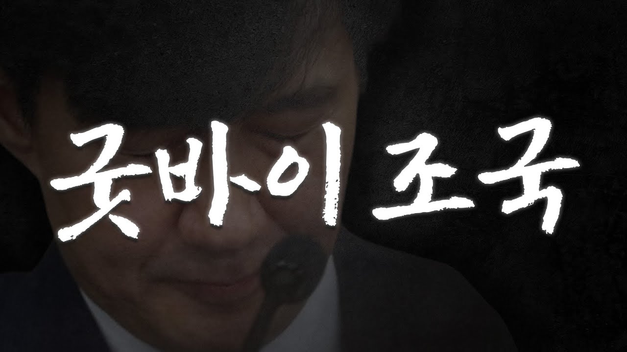 윤석열 탄핵안 가결돼서 망한 영상