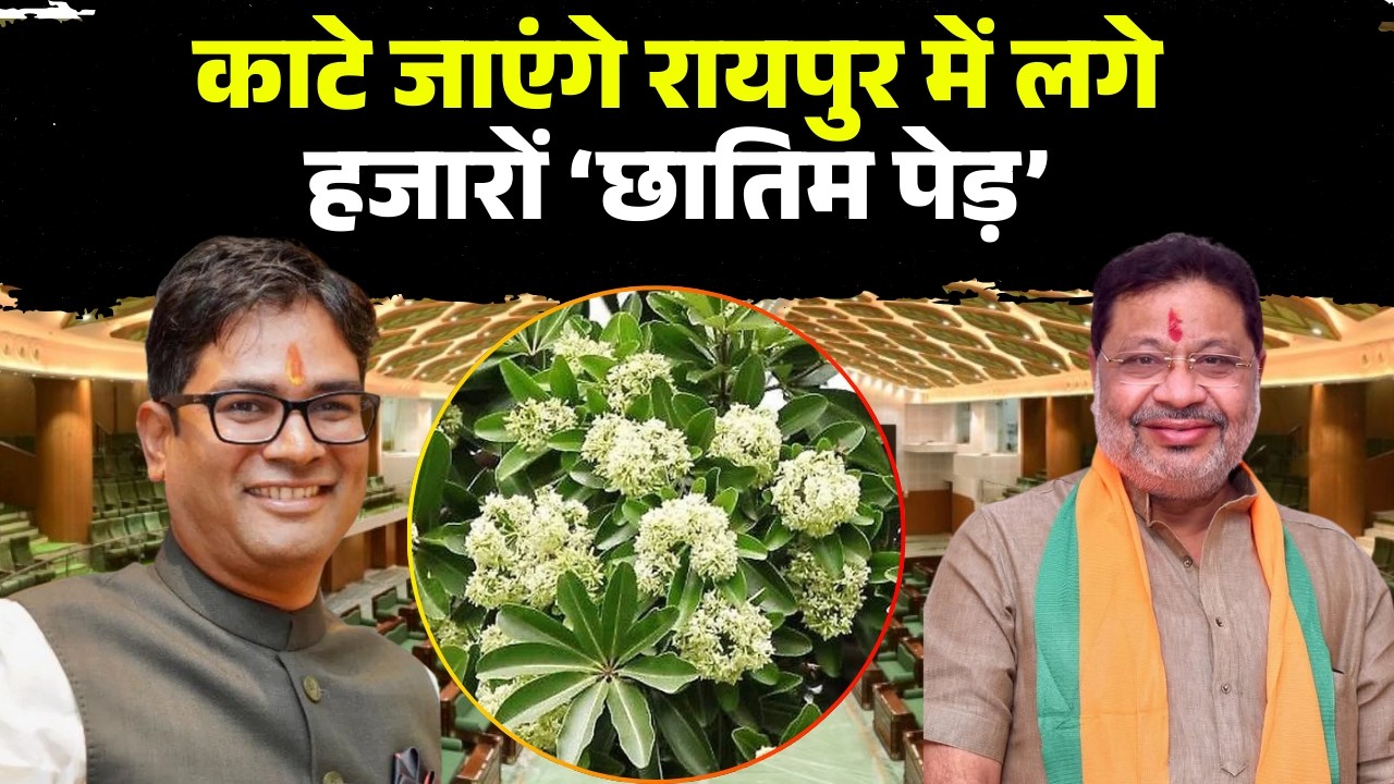 CG Budget Session 2026: Thousands of Chhatim trees in Raipur will be cut down. MLA Sunil Soni rai...
