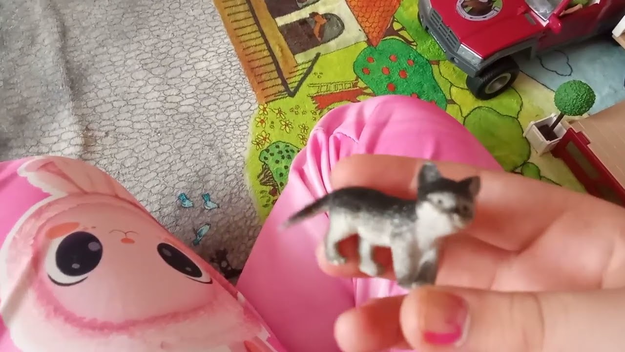 Katzen bewerten