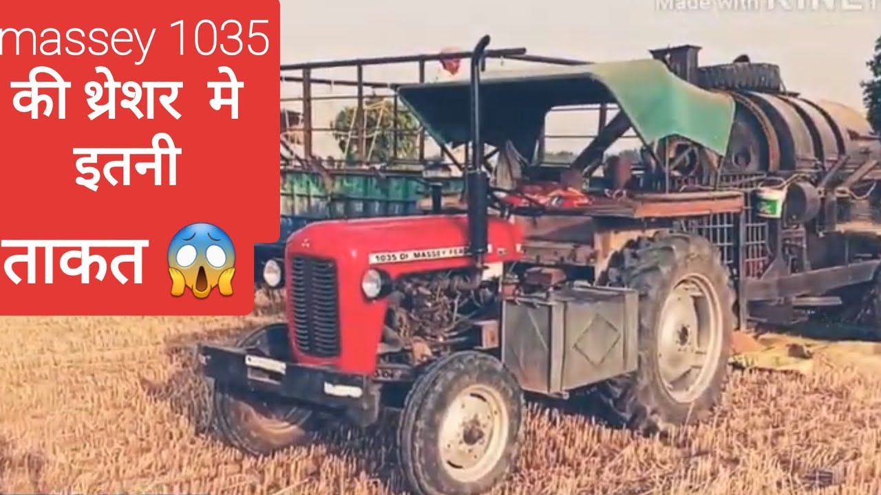 Massey 1035 की थ्रेसर मे ताकत देखो (गेहूं निकाल रहा है )