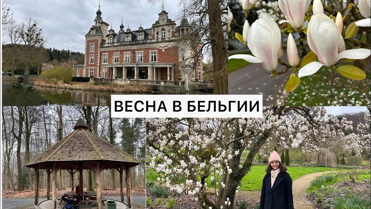 ВЕСНА В БЕЛЬГИИ🌷ПИКНИК В ПАРКЕ🍀ЦВЕТУЩИЕ ДЕРЕВЬЯ🌸МАГНОЛИЯ🌸