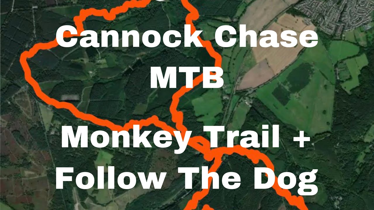 Cannock Chase MTB | Parts Of The Monkey Trail + Follow The Dog | Midlands MTB